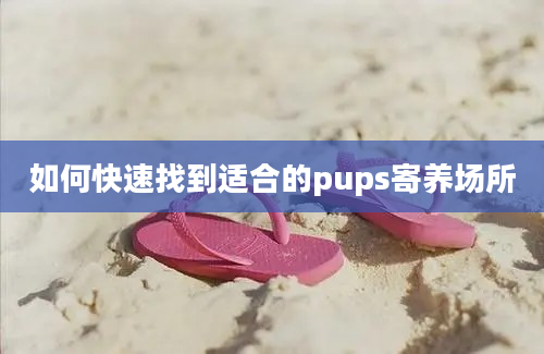 如何快速找到适合的pups寄养场所