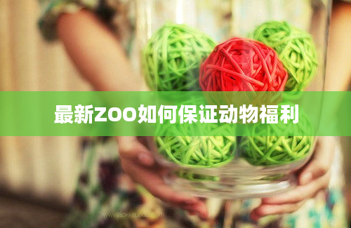 最新ZOO如何保证动物福利