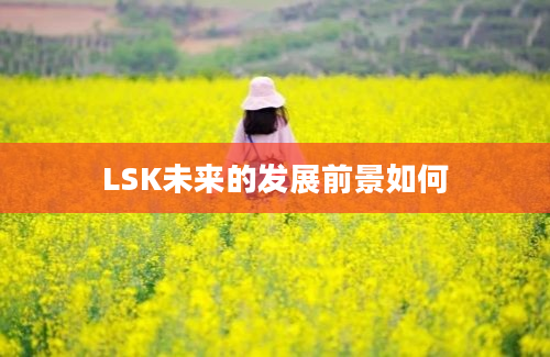 LSK未来的发展前景如何