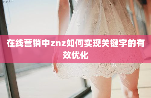 在线营销中znz如何实现关键字的有效优化