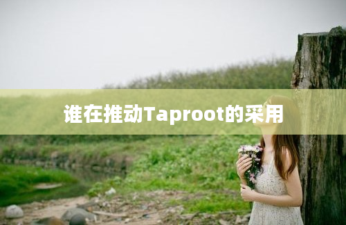 谁在推动Taproot的采用