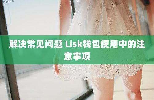 解决常见问题 Lisk钱包使用中的注意事项