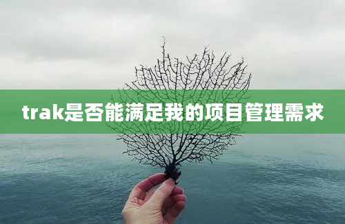 trak是否能满足我的项目管理需求