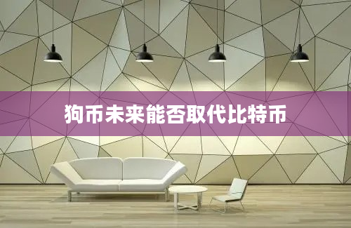 狗币未来能否取代比特币