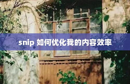 snip 如何优化我的内容效率