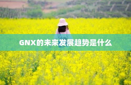 GNX的未来发展趋势是什么