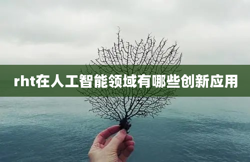 rht在人工智能领域有哪些创新应用