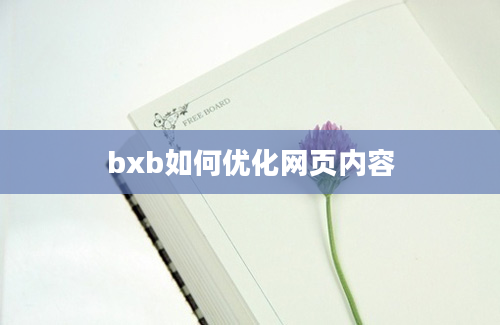 bxb如何优化网页内容