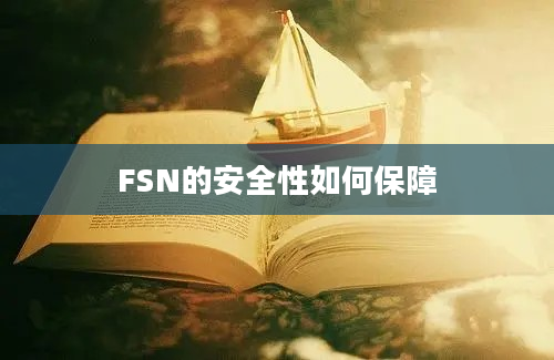 FSN的安全性如何保障