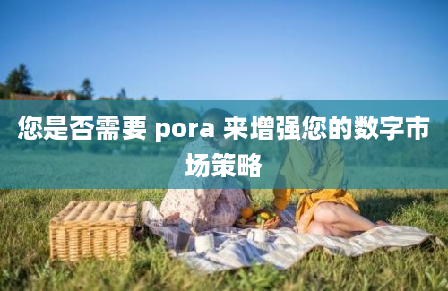 您是否需要 pora 来增强您的数字市场策略