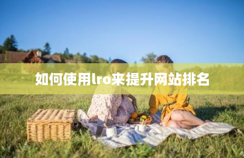 如何使用lro来提升网站排名