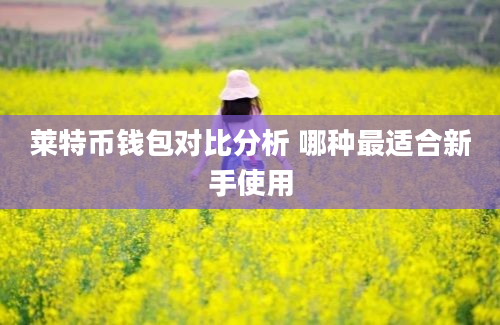 莱特币钱包对比分析 哪种最适合新手使用