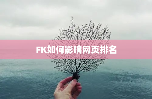 FK如何影响网页排名