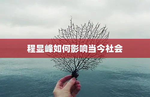 程显峰如何影响当今社会