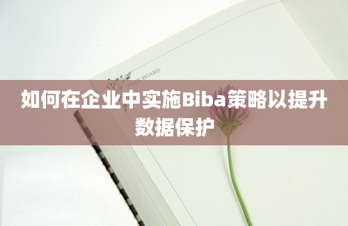 如何在企业中实施Biba策略以提升数据保护