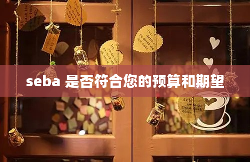 seba 是否符合您的预算和期望