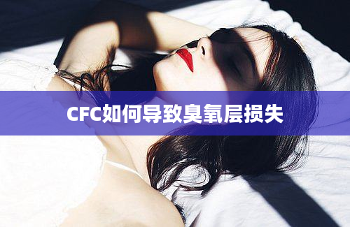 CFC如何导致臭氧层损失