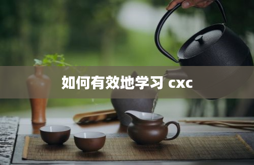 如何有效地学习 cxc