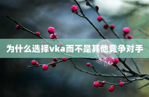 为什么选择vka而不是其他竞争对手