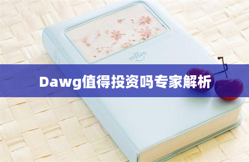 Dawg值得投资吗专家解析