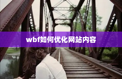 wbf如何优化网站内容