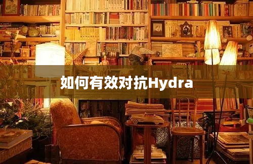 如何有效对抗Hydra