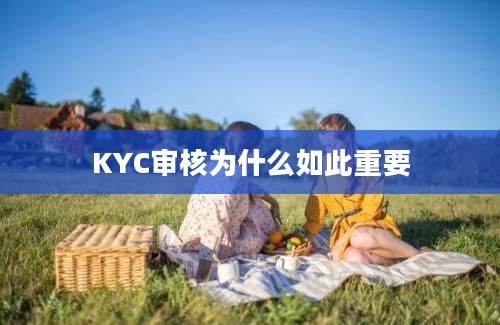 KYC审核为什么如此重要