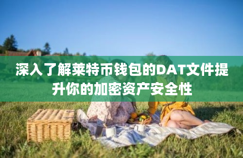 深入了解莱特币钱包的DAT文件提升你的加密资产安全性