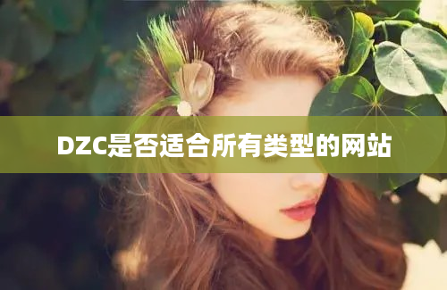 DZC是否适合所有类型的网站