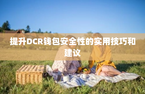 提升DCR钱包安全性的实用技巧和建议