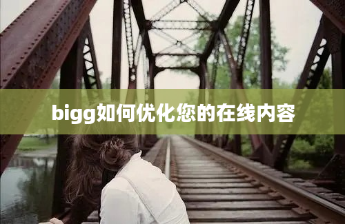 bigg如何优化您的在线内容