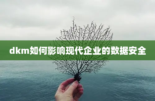 dkm如何影响现代企业的数据安全