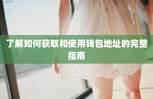 了解如何获取和使用钱包地址的完整指南