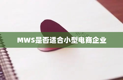 MWS是否适合小型电商企业