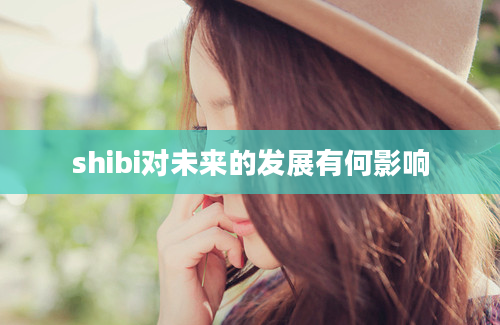 shibi对未来的发展有何影响