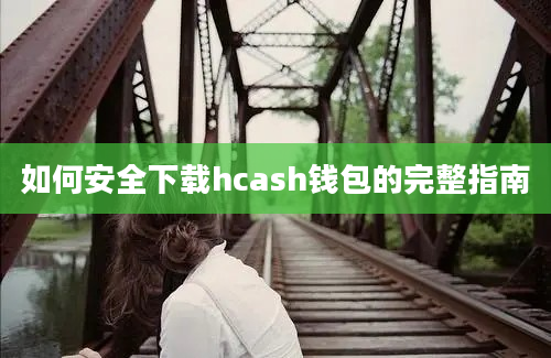 如何安全下载hcash钱包的完整指南