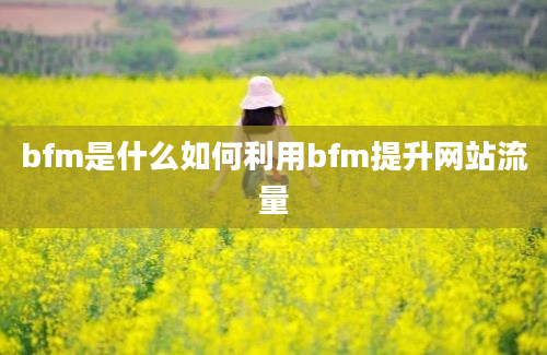 bfm是什么如何利用bfm提升网站流量