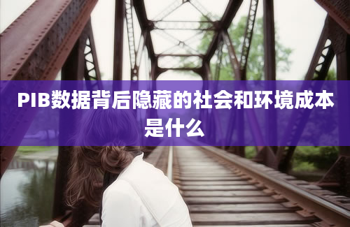 PIB数据背后隐藏的社会和环境成本是什么