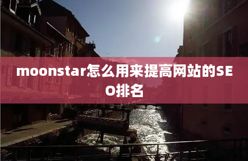 moonstar怎么用来提高网站的SEO排名