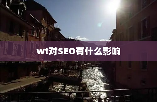 wt对SEO有什么影响