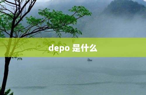 depo 是什么