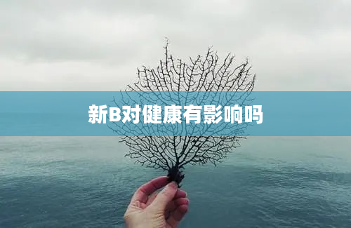 新B对健康有影响吗