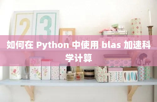 如何在 Python 中使用 blas 加速科学计算