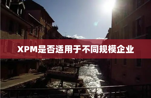 XPM是否适用于不同规模企业