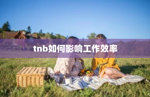 tnb如何影响工作效率