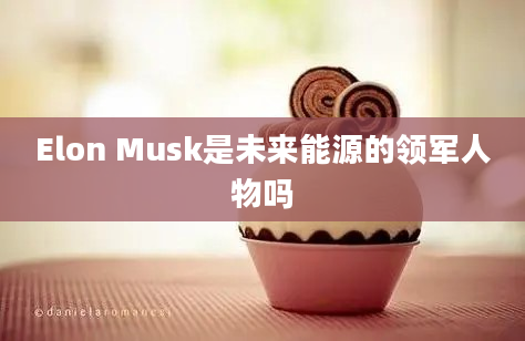 Elon Musk是未来能源的领军人物吗