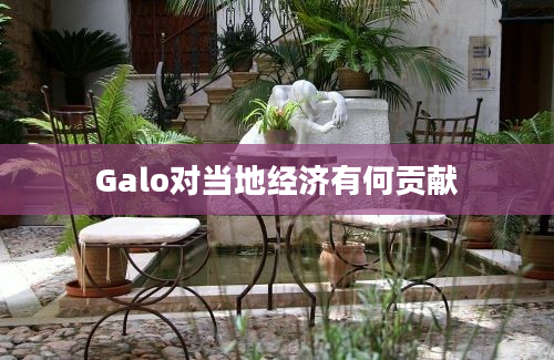 Galo对当地经济有何贡献