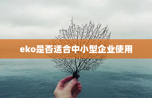 eko是否适合中小型企业使用