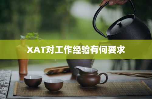 XAT对工作经验有何要求