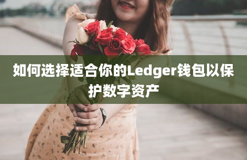 如何选择适合你的Ledger钱包以保护数字资产